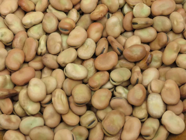 Broad Beans Vicia Faba Legumes Close Fundo — Fotografia de Stock