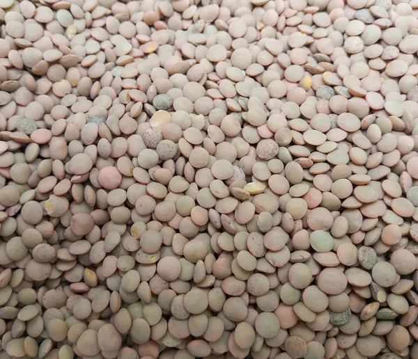 Lentils pulse legumes (Lens Culinaris) vegetarian food