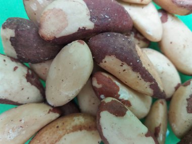 Brezilya fıstığı (Bertholletia excelsa) vegan gıda portre