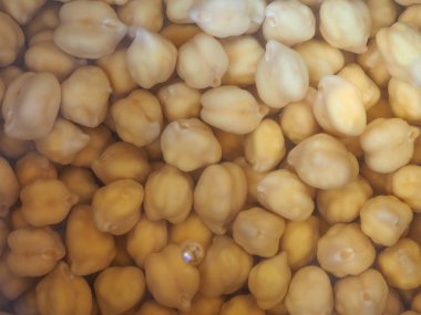 Nohut baklagiller aka nohut, Cicer arietinum, Bengal gram, nohut fasulye, ceci, cece veya Kabuli Chana baklagiller sebze vejetaryen gıda su altında