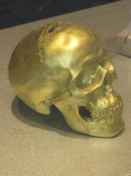 a golden skull bone shaped piggy bank