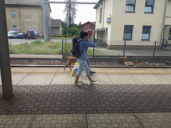 Studenka Czech Republic Circa July 2017 Вокзал Неизвестными Пассажирами Собаками — стоковое фото