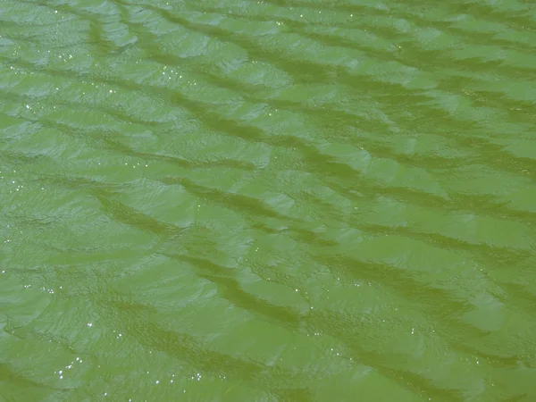 Green Water Surface Useful Background — Stock Photo, Image