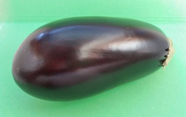 Patlıcan (Solanum melongena) aka yumurta bitki veya melongene veya Bahçe yumurta sebze vejetaryen ve vegan gıda
