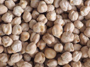 Nohut baklagiller aka nohut, Cicer arietinum, Bengal gram, nohut fasulye, ceci, cece veya Kabuli Chana baklagiller sebze Vejetaryen Gıda