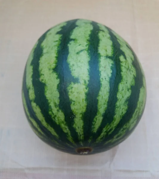 Grön Vattenmelon Citrullus Lanatus Frukt Vegetarianmat — Stockfoto