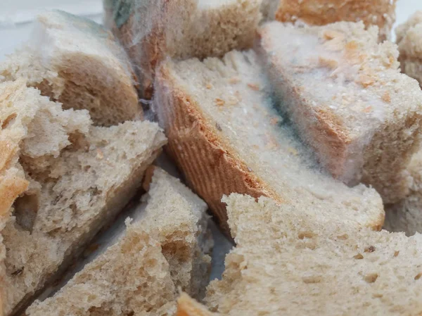 被白色霉菌覆盖的面包片 — 图库照片
