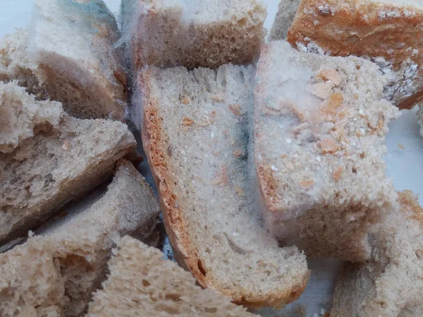 Kousky Chleba Vztahuje Bílá Plíseň — Stock fotografie