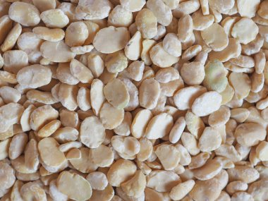 fava fasulye (Vicia faba) aka geniş baklagiller sebze vejetaryen yemek fasulye