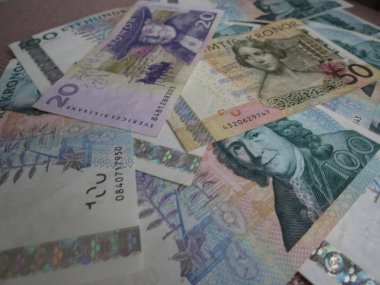 İsveç Kronu banknot para (Sek), İsveç para birimi