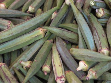 yeşil bamya sebze arka plan olarak yararlı