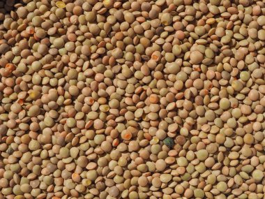 Mercimek baklagiller sebze vejetaryen yemek arka plan olarak yararlı darbe