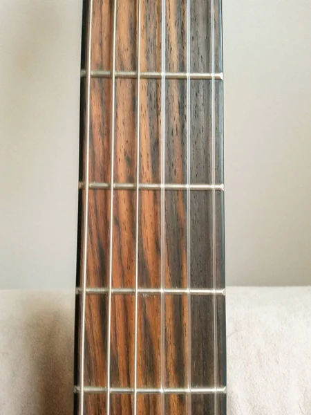 Détail Cou Guitare Avec Des Frets — Photo