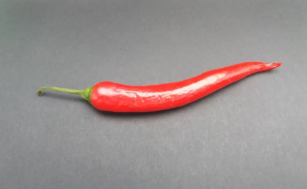 Červená Horká Chilli Paprika Capsicum Aka Chilli Paprika Nebo Chilli — Stock fotografie