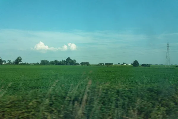 Perspectiva Uma Paisagem Campo Verde Com Culturas Árvores — Fotografia de Stock