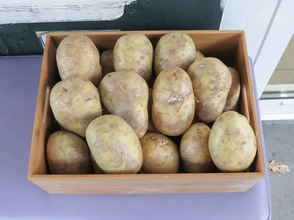 Πατάτας Solanum Tuberosum Λαχανικά Χορτοφάγος Και Vegan Διατροφής Ένα Πλαίσιο — Φωτογραφία Αρχείου