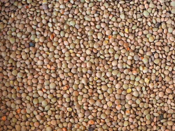 Lentilhas leguminosas de grãos de pulso (Lens Culinaris) legumes fundo vegetal — Fotografia de Stock