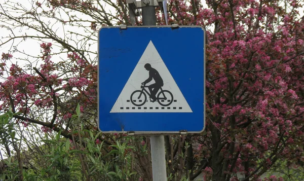 自転車レーン 別名サイクル レーン 横断歩道の標識交通標識 — ストック写真
