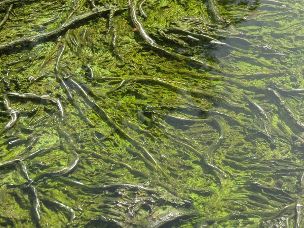 近代的な噴水水の詳細 — ストック写真