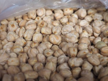 Nohut baklagiller aka nohut, Cicer arietinum, Bengal gram, nohut fasulye, ceci, cece veya Kabuli Chana baklagiller sebze vejetaryen yemek