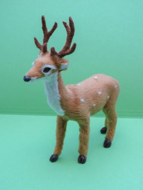 Kopenhag 'da memeli sınıfından geyik hayvanı