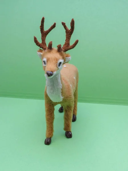 Deer animal of class Mammalia (mammals) in Copenhagen — Stock Photo, Image