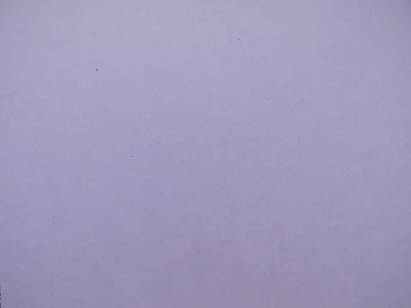 紫丁香纸板质地背景 — 图库照片