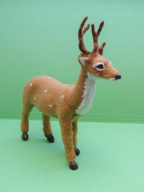 Kopenhag 'da memeli sınıfından geyik yumurtası.