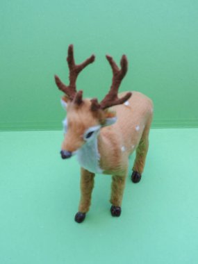 Kopenhag 'da memeli sınıfından geyik yumurtası.