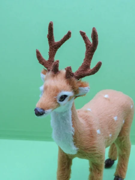 Roe deer animal of class Mammalia (mammals) in Copenhagen — Stock Photo, Image