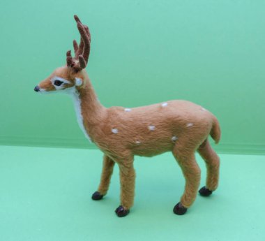 Sınıf memeli geyik yumurtası.)