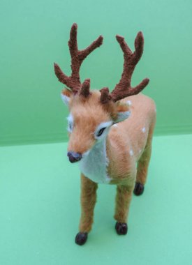 Sınıf memeli geyik yumurtası.)