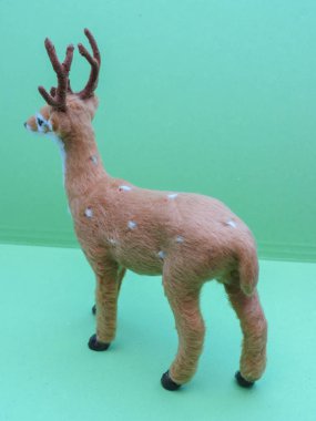 Sınıf memeli geyik yumurtası.)