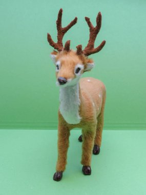 Sınıf memeli geyik yumurtası.)