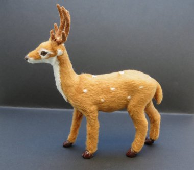 Sınıf memeli geyik yumurtası.)