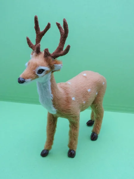 Roe deer animal of class Mammalia (mammals) — Stock Photo, Image