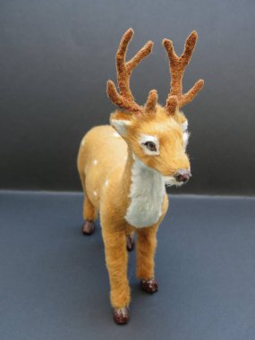 Sınıf memeli geyik yumurtası.)