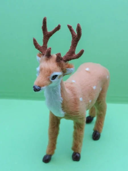 Roe deer animal of class Mammalia (mammals) — Stock Photo, Image