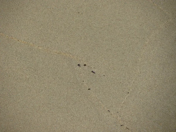 Beige Sand Surface Useful Background — Stock Photo, Image