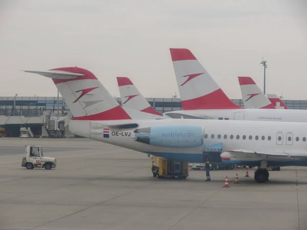 Vienne Schwechat Autriche Circa Avril 2017 Avions Austrian Airlines Stationnés — Photo