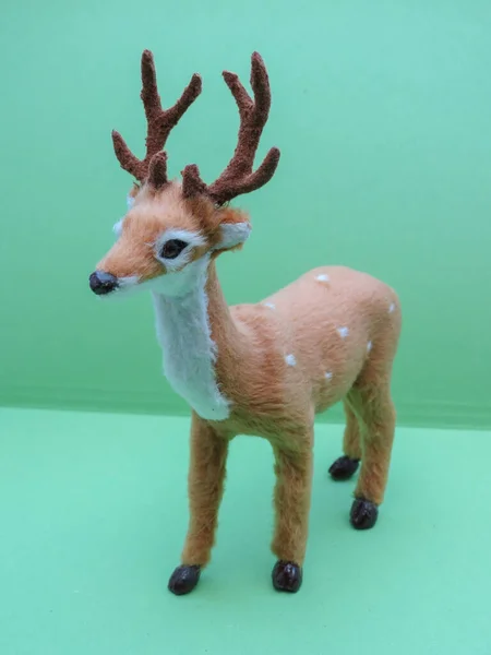 家鹿科动物 哺乳动物类 小型繁殖 可用作圣诞装饰或儿童玩具 — 图库照片