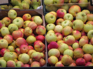 VILNIUS, LITHUANIA - CIRCA Nisan 2017: kırmızı elma (Malus domestica) meyveli vejetaryen gıda