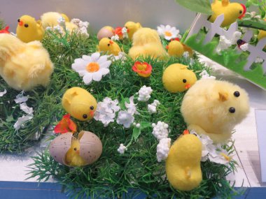 Peru, İtalya - CRCA Nisan 2019: Piliçlerle Paskalya Süslemeleri