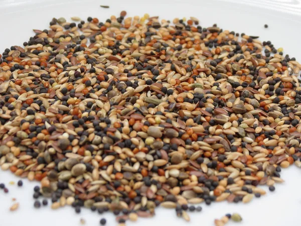 Seed Mix Nourishing Different Types Wild Birds — Stock Photo, Image