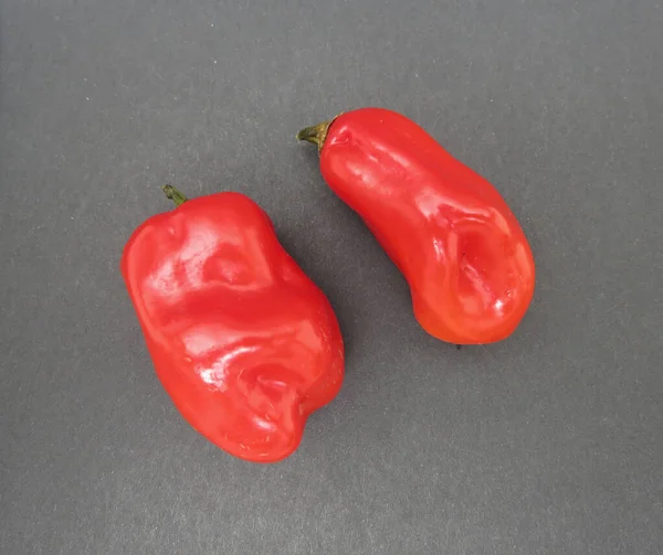 Hot Chili Peppers Capsicum Aka Chile Pepper Chilli Pepper Vegetables — Stock Photo, Image