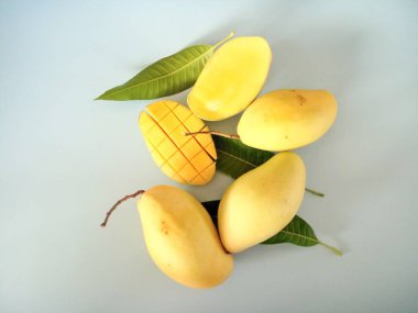 Mavi arkaplandaki mango meyvelerini kapat