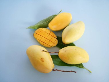 Mavi arkaplandaki mango meyvelerini kapat