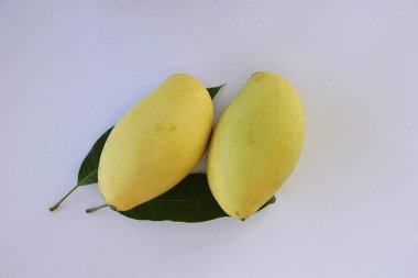 Mango meyve beyaz zemin üzerine