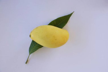 Mango meyve beyaz zemin üzerine
