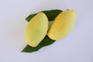 Mango meyve beyaz zemin üzerine